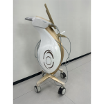 Portable RF Machine - OEM Salon Use Device Supplier