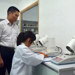 Drop Ball Tester Factory - 1.5m Free Fall Mobile