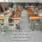 Metal Detector Manufacturer - Professional Digital Industrial