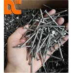 Construction Nail Factory - OEM Q195 Iron Common Nail
