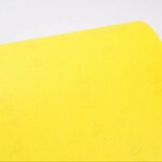 Sand Paper Factory - OEM Quartz Silica Sandpaper Roll