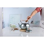 Water Kettle Factory - OEM 0.5l Whistling Kettle Manufacturer