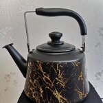 Japanese Teapot Factory - OEM Teapot with Infuser Supplier