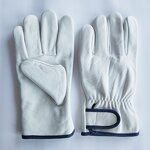 Driving Gloves Factory - OEM Custom Cowhide Leather Winter Warm