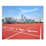 Synthetic Rubber Runway Factory - Prefabricated Surface Carpet Athletic