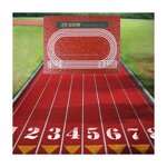 Rubber Running Track Factory - All Weather Tartan Prepared Running
