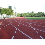 Plastic Runway Manufacturer - 13mm Compound New National Standard