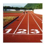 Running Track Material Manufacturer - Sandwich System Rubber Running