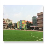 Artificial Grass Manufacturer - Customized Green Grass Carpet Football