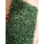 Artificial Grass Factory - Waterproof for Home Garden Decoration