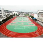 Synthetic Rubber Runway Factory - Prefabricated Surface Carpet Athletic