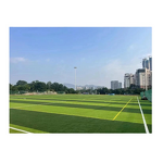 Artificial Grass Manufacturer - Football Soccer Turf for Field