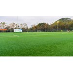 Artificial Grass Supplier - Thailand Plastic Grass Grid Synthetic Turf