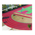 Synthetic Rubber Runway Factory - Prefabricated Surface Carpet Athletic