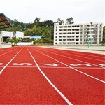 Plastic Runway Manufacturer - 13mm Compound New National Standard