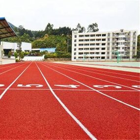 Plastic Runway Manufacturer - 13mm Compound New National Standard