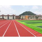 Synthetic Rubber Runway Factory - Prefabricated Surface Carpet Athletic