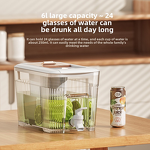 Cool Water Kettle Factory - OEM 6L Refrigerator Jug Supplier