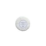 Hotel Soap Factory - OEM 20g Disposable Guest Soap Supplier