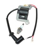 Ignition Coil Factory - OEM for Oleo-Mac BCH40T BCH40BP