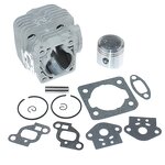 Cylinder Piston Kit Factory - OEM 34mm for Echo PB260I