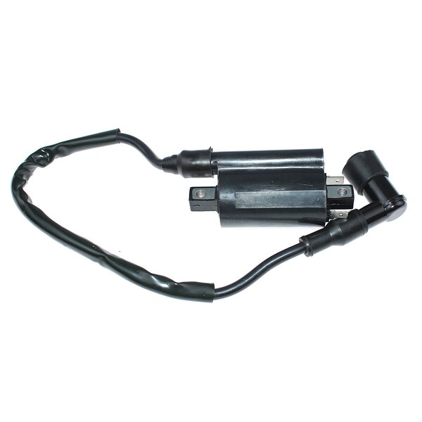 Ignition Coil Factory - OEM for Honda CRF450R 250R DN-01