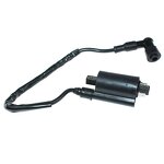 Ignition Coil Factory - OEM for Honda CRF450R 250R DN-01