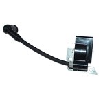 Ignition Coil Factory - OEM for Partner P345 P395 Poulan