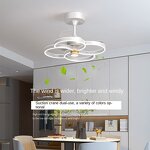 Ceiling Fan Factory - 2025 Nordic Simple Iron Mute Integrated Large Wind