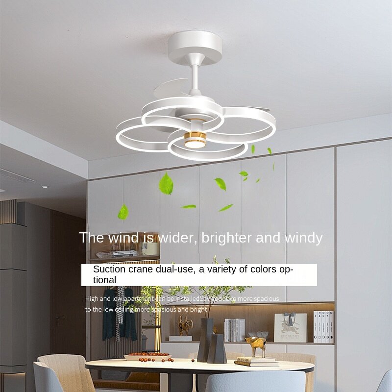 Ceiling Fan Factory - 2025 Nordic Simple Iron Mute Integrated Large Wind