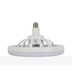 LED Fan Lamp Manufacturer - Intelligent E27 Tri-Color Mute Small Remote