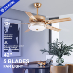 LED Ceiling Fan Manufacturer - Modern 42 Inch Silent Metal Kit Classic