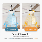 LED Ceiling Fan Light Factory - 42 Inch DC Motor Stainless Steel 5 Blades