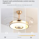 Ceiling Fan Factory - Nordic Style Invisible Smart Control Chandelier