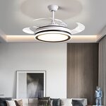 Ceiling Fan Lamp Manufacturer - Music LED Light AC Invisible Design