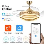 LED Ceiling Fan Light Manufacturer - Bedroom Energy Saving Dimmable Remote Iron