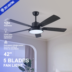 LED Ceiling Fan Factory - Modern DC 220V Stainless Steel Blades Remote
