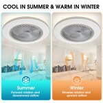 LED Ceiling Light Manufacturer - Dimmable Built-in Fan Remote DC Motor