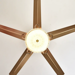 LED Ceiling Fan Manufacturer - Modern 42 Inch Silent Metal Kit Classic