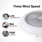 BLDC Ceiling Fan Factory - Ultra Quiet Motor LED Light Modern Design