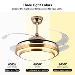 LED Chandelier Fan Manufacturer - Bluetooth Music Gold Invisible