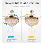 Ceiling Fan Lamp Factory - Factory Price LED Light Indoor Remote Control