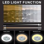 DC Ceiling Fan Manufacturer - Modern Design LED Lights Remote Low Noise