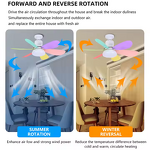 Fan Light Manufacturer - Colorful Blades Remote Nordic Cool Ceiling