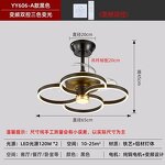 Ceiling Lights Manufacturer - Nordic Minimalist Luxury Frequency Conversion Invisible