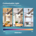 LED Ceiling Fan Light Factory - 42 Inch DC Motor Stainless Steel 5 Blades