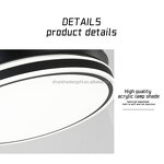 LED Ceiling Fan Light Factory - Mute Invisible Iron Chandelier Decorative