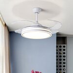 Fan Light Manufacturer - LED Pendant Variable Frequency Remote Control