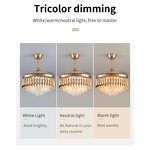 LED Ceiling Fan Manufacturer - Crystal Remote Control 110V DC Motor