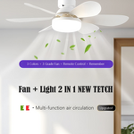 Fan Light Manufacturer - Colorful Blades Remote Nordic Cool Ceiling